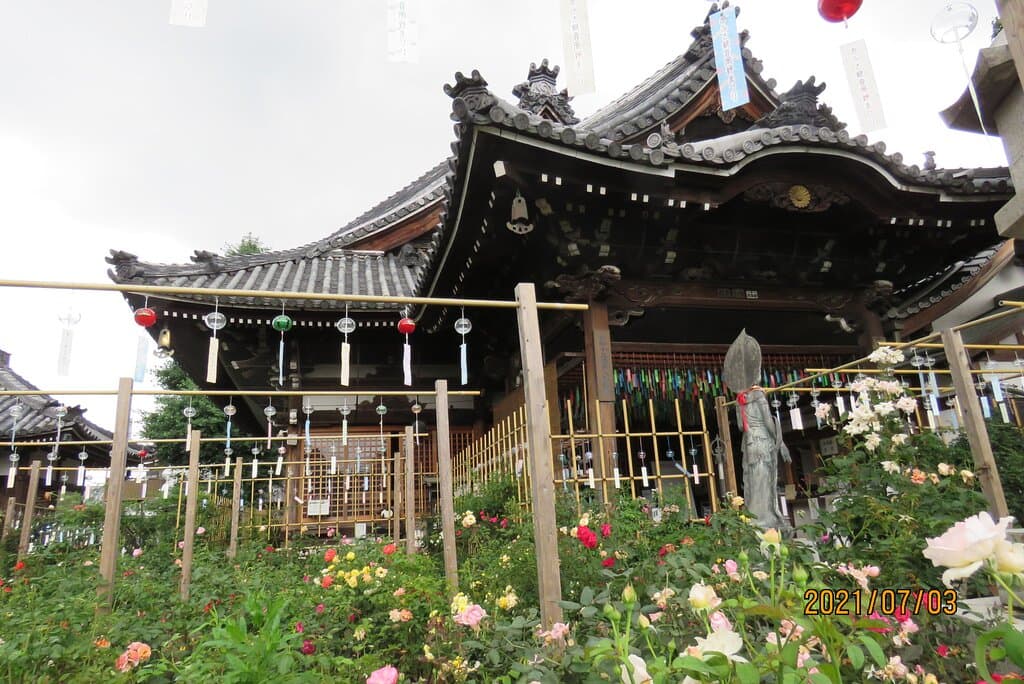 境内景観一例 風鈴まつり 2021年7月3日撮影