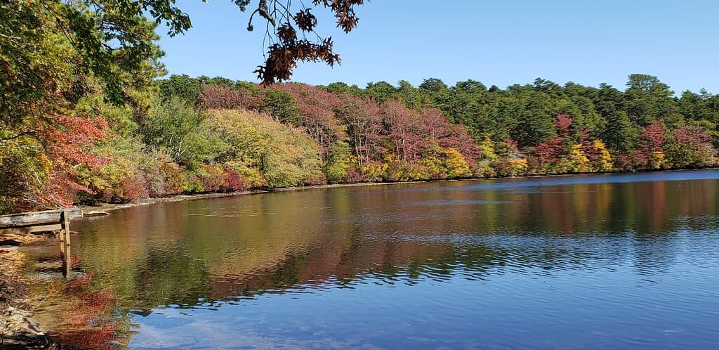 Flax Pond Recreation Area
