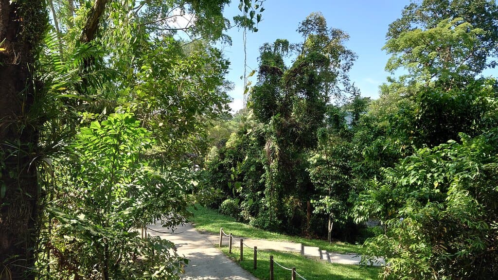 Thomson nature park