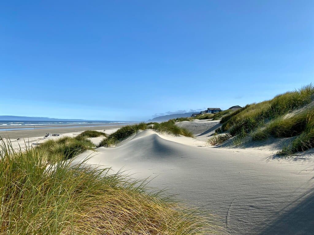 Oregon Dunes National Recreation Area