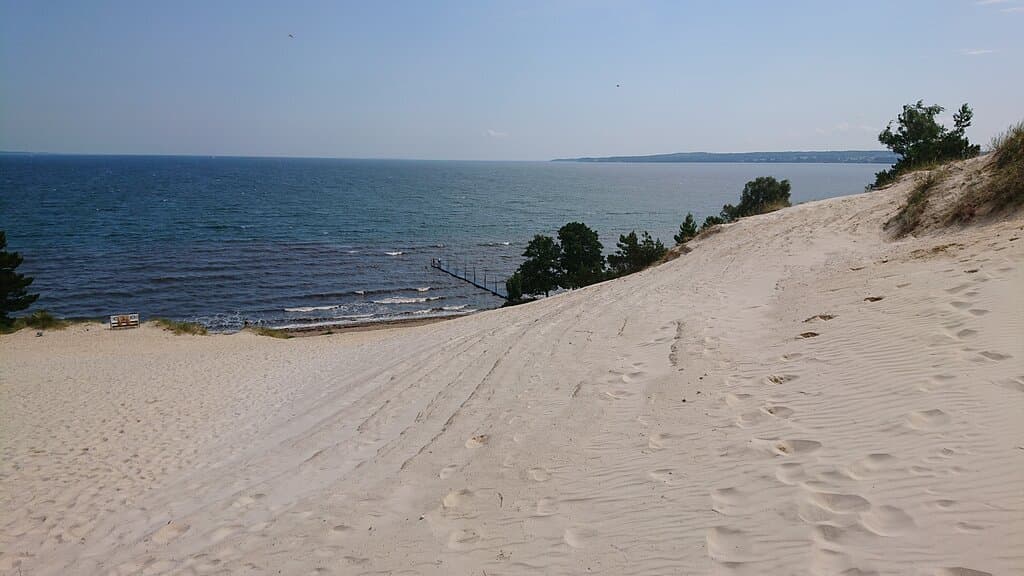 the dune