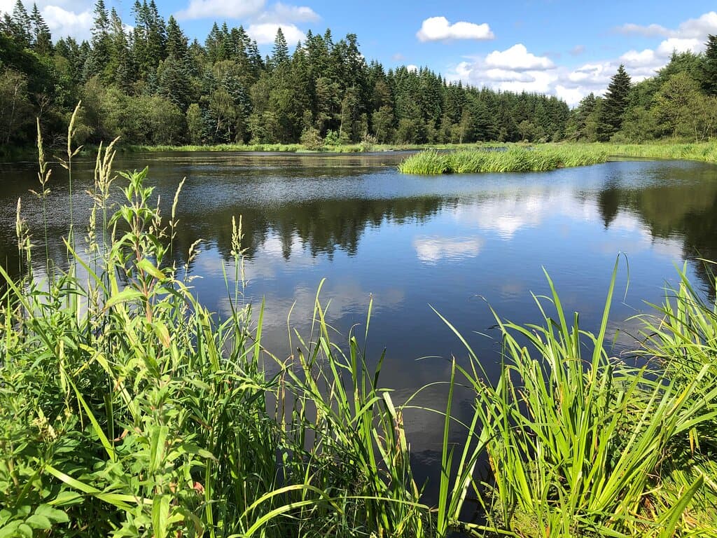 Møllesøen midt i Klosterheden