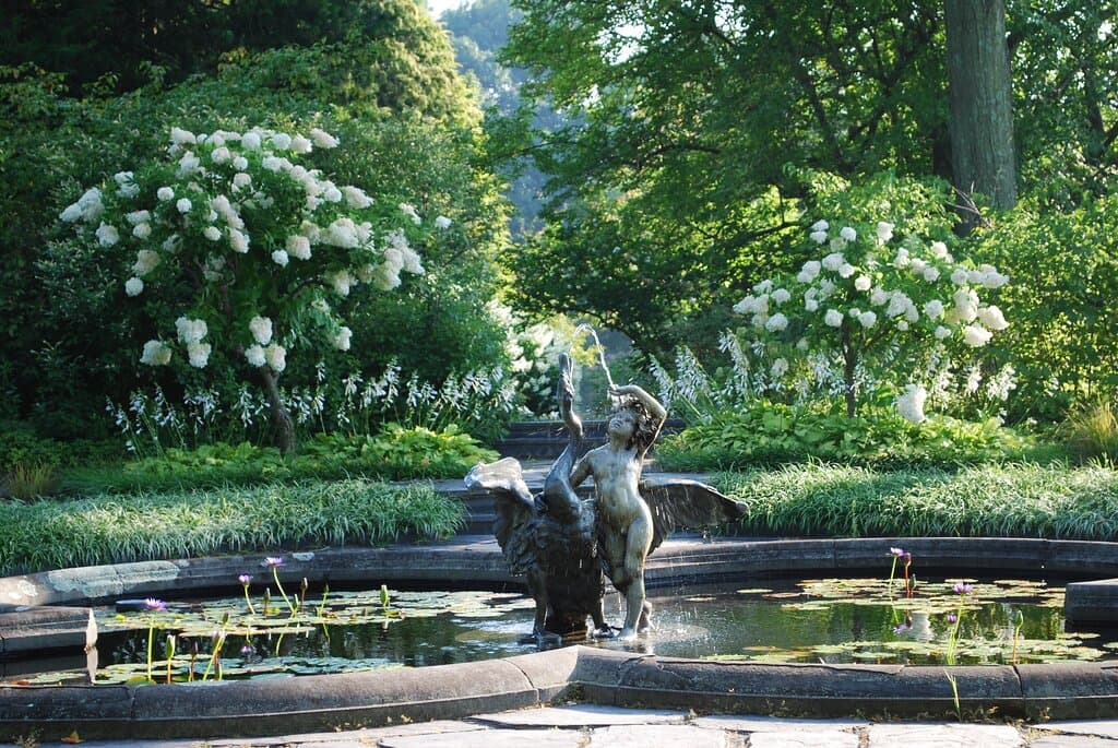 The Water Lily Garden