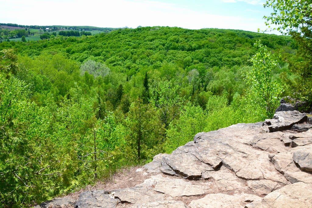Cliff edge along the Main Lookout Trail