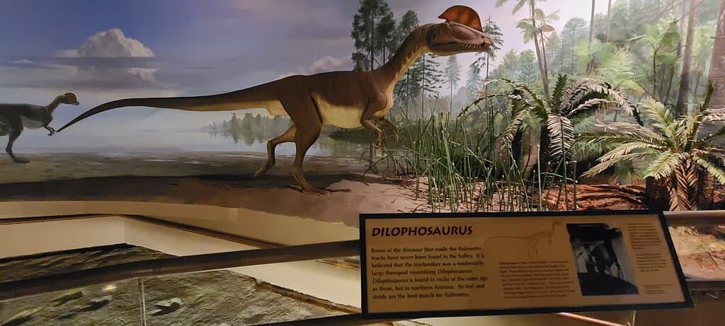 Dinosaur State Park