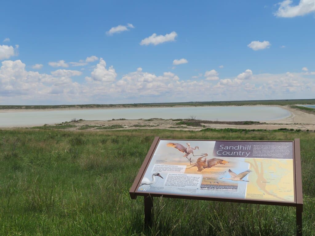 Lake on Co Rd 1248. Muleshoe National Wildlife Refuge. July 2021