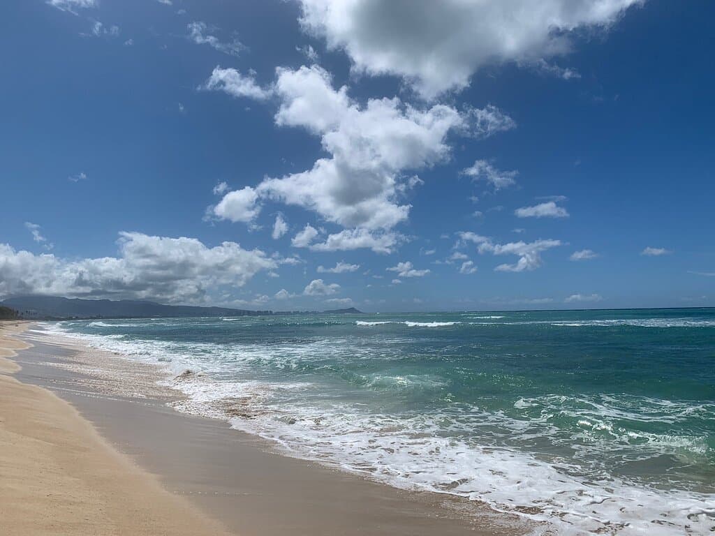 Beach day