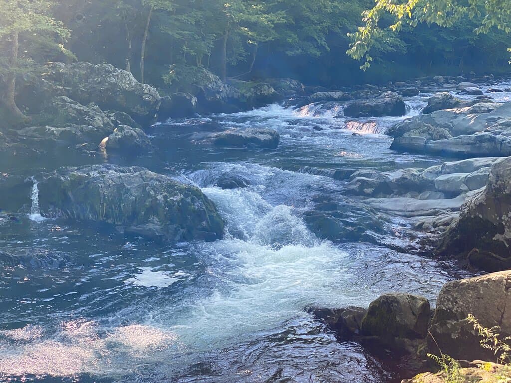  Greenbrier Picnic Area river