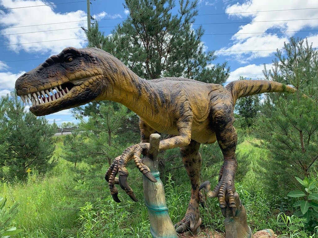 Indian River Reptile Zoo