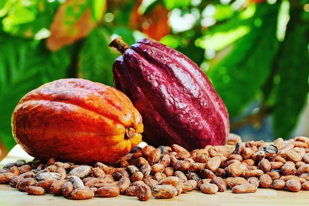 The Belgian Chocolate Factory