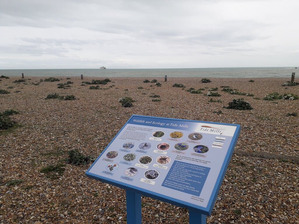 Tide Mills Ruins and Nature Reserve