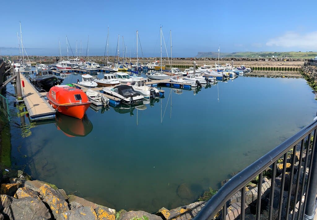 The harbour