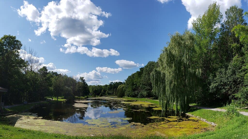 Jackson Park