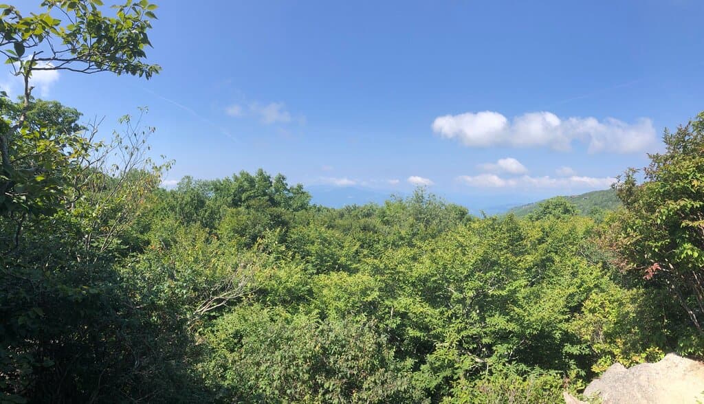 Emerald Outback Trails