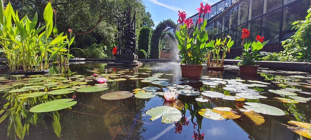 Замечательно!  Приходите к открытию, будет вам отличное настроение, это счастье!