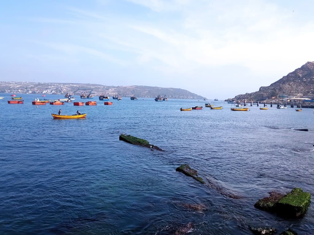 ¡La caleta de Guayacán es un sitio pintoresco y lleno de vida! En sus foodtruck se puede comer empanadas y deliciosos platos marinos frescos. Además, se puede navegar por la bahía junto a pescadores locales, con quiénes es posible también pescar y disfrutar de la cosecha a bordo en un delicioso sandwich o ceviche. El lugar cuenta con baño.