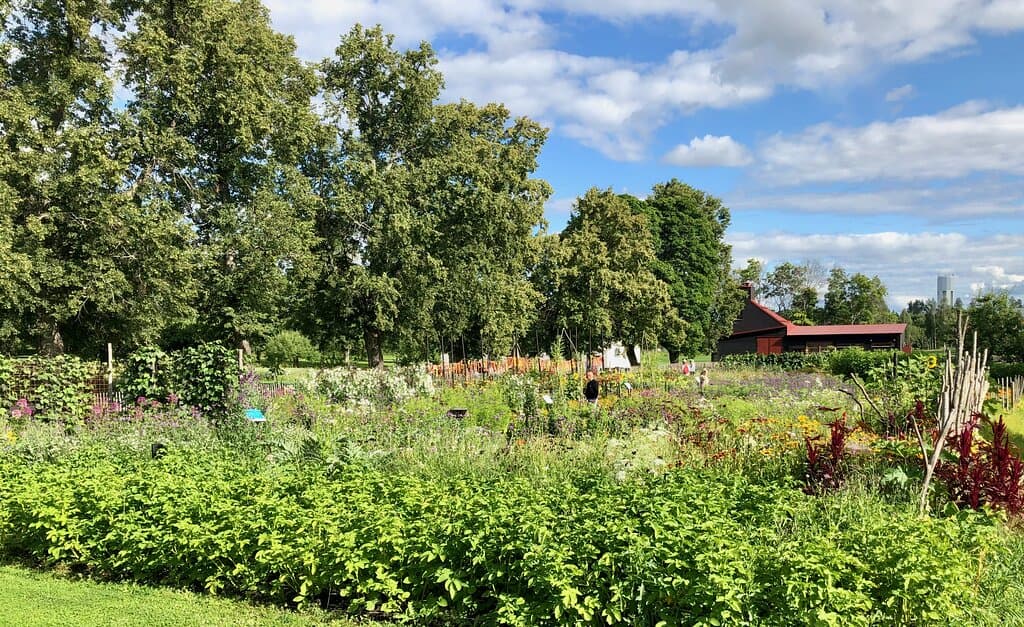 Wij trädgårdar