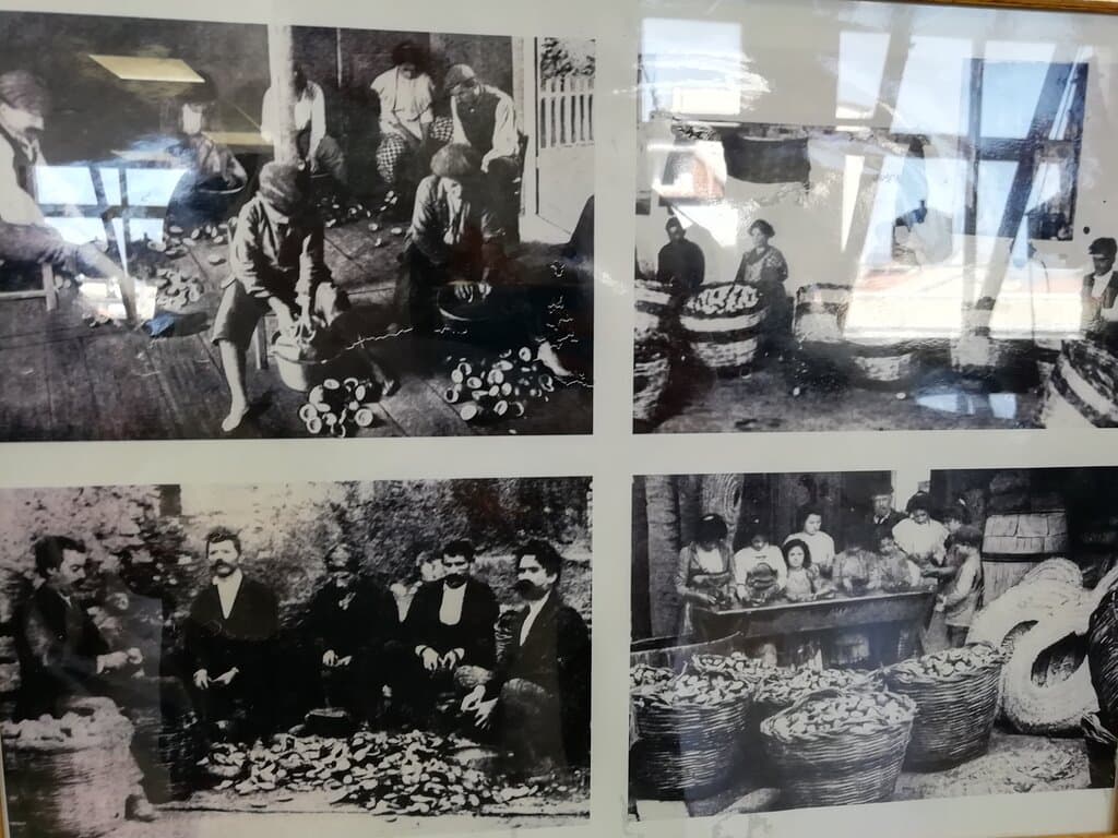 Museo del Bergamotto