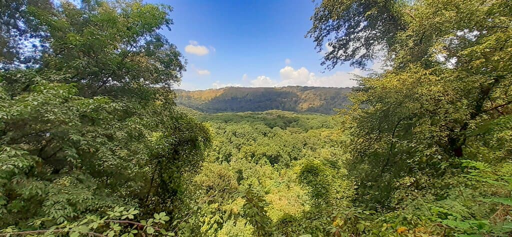 Astroni Nature Reserve