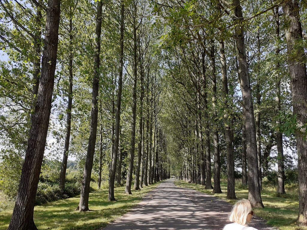 Umberslade Farm Park