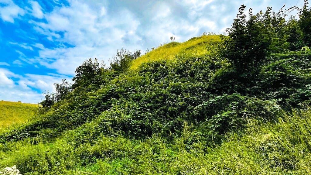 Thetford Castle Hill