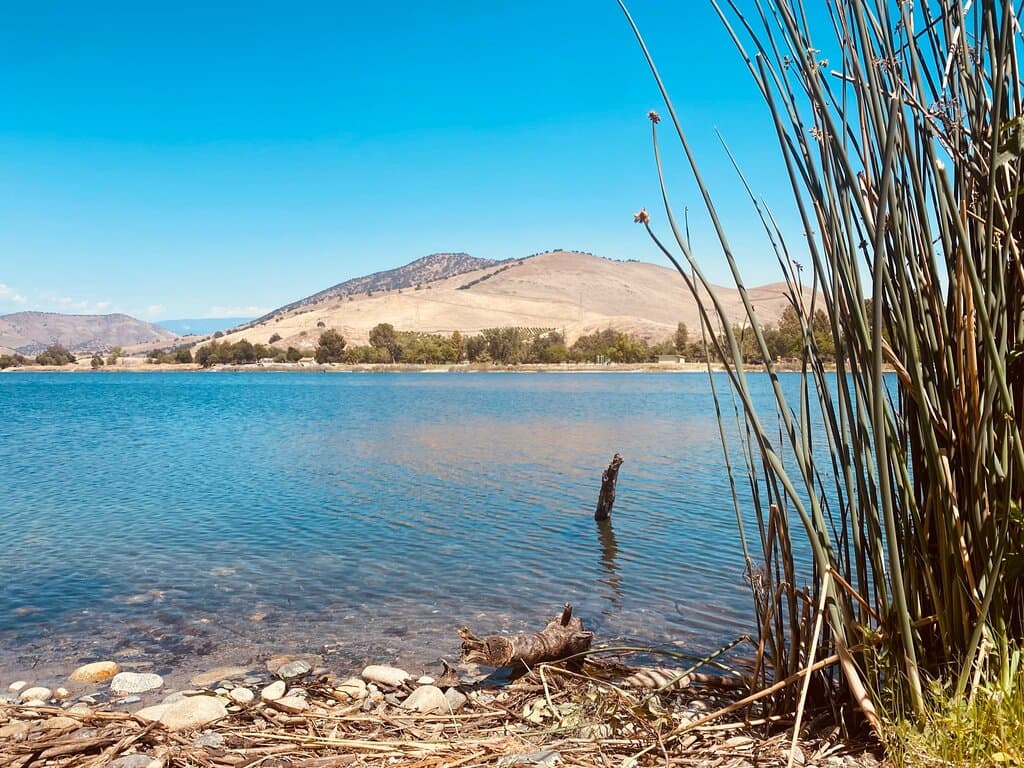 Avocado Lake March 2021