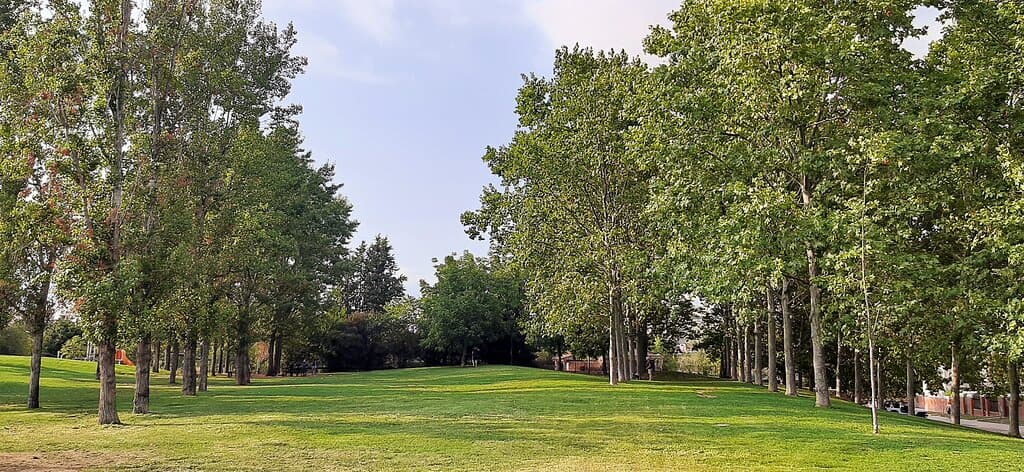 Parc Ramon Barnils