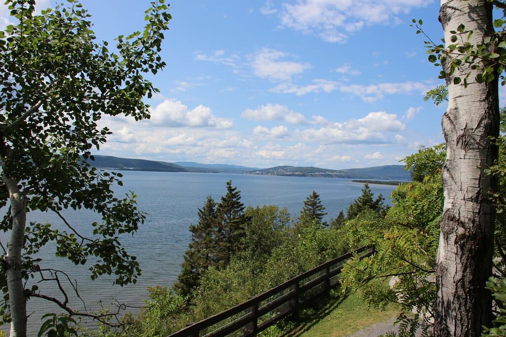 View from the fort.