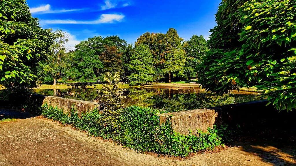 Vegetation that hides concrete walls.