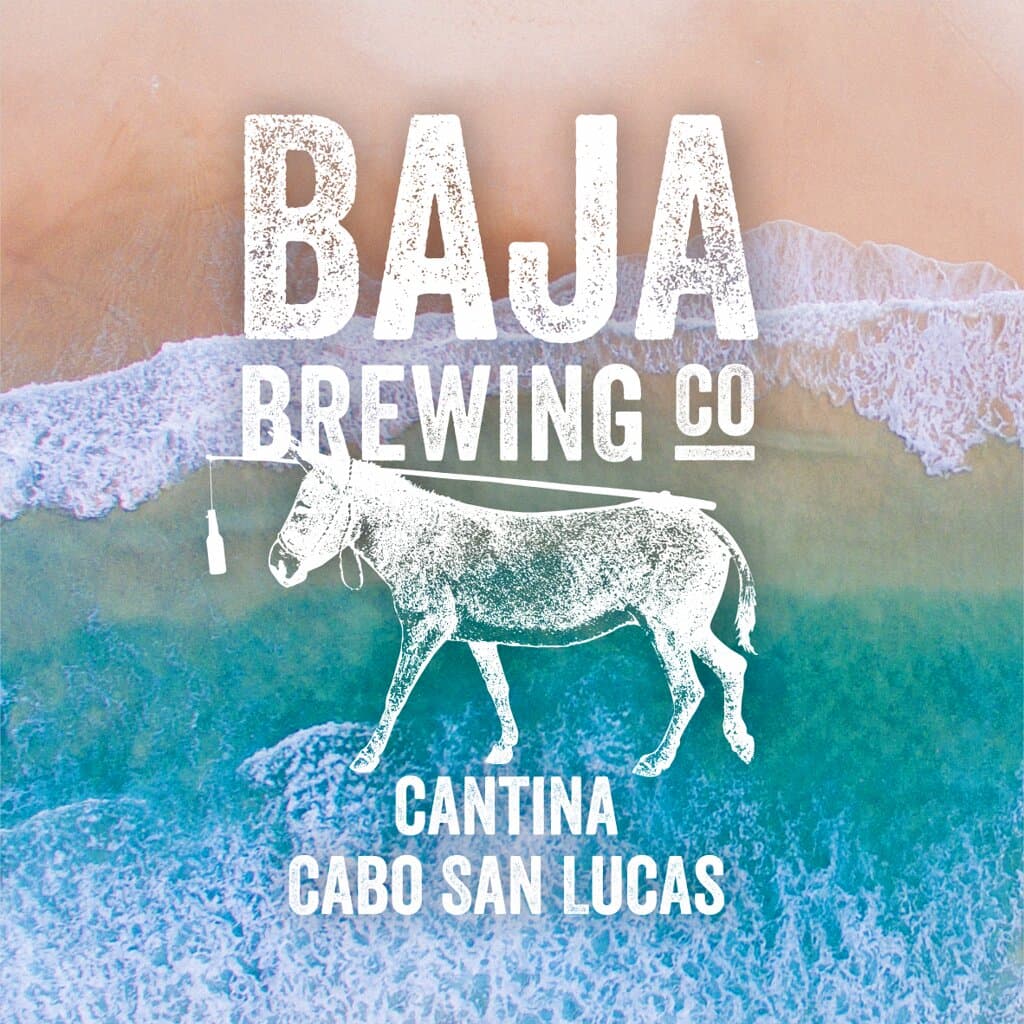 Our Rooftop Cantina located in Cabo Villas Beach Resort on the 7th floor overlooking the infamous Medano Beach!