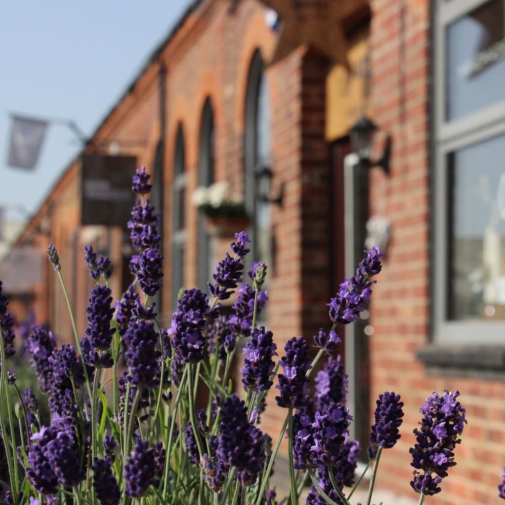 Over 25 independent local businesses