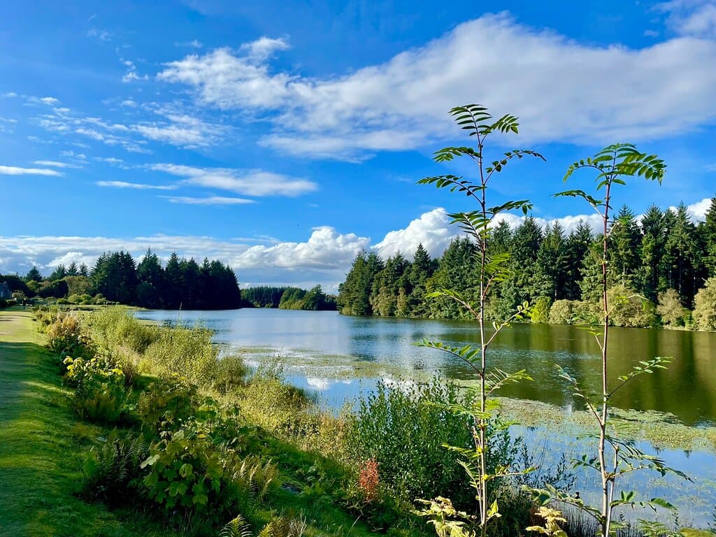 “ There is a time in the last few days of summer when the ripeness of autumn 🍂 fills the air, and time is quiet and mellow.” - Rudolfo Anaya