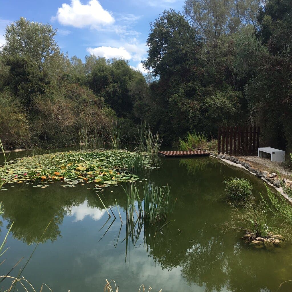 Cephalonia Botanica