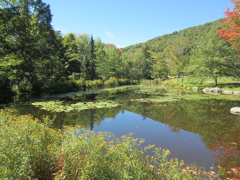 Beautiful West Meadow area.