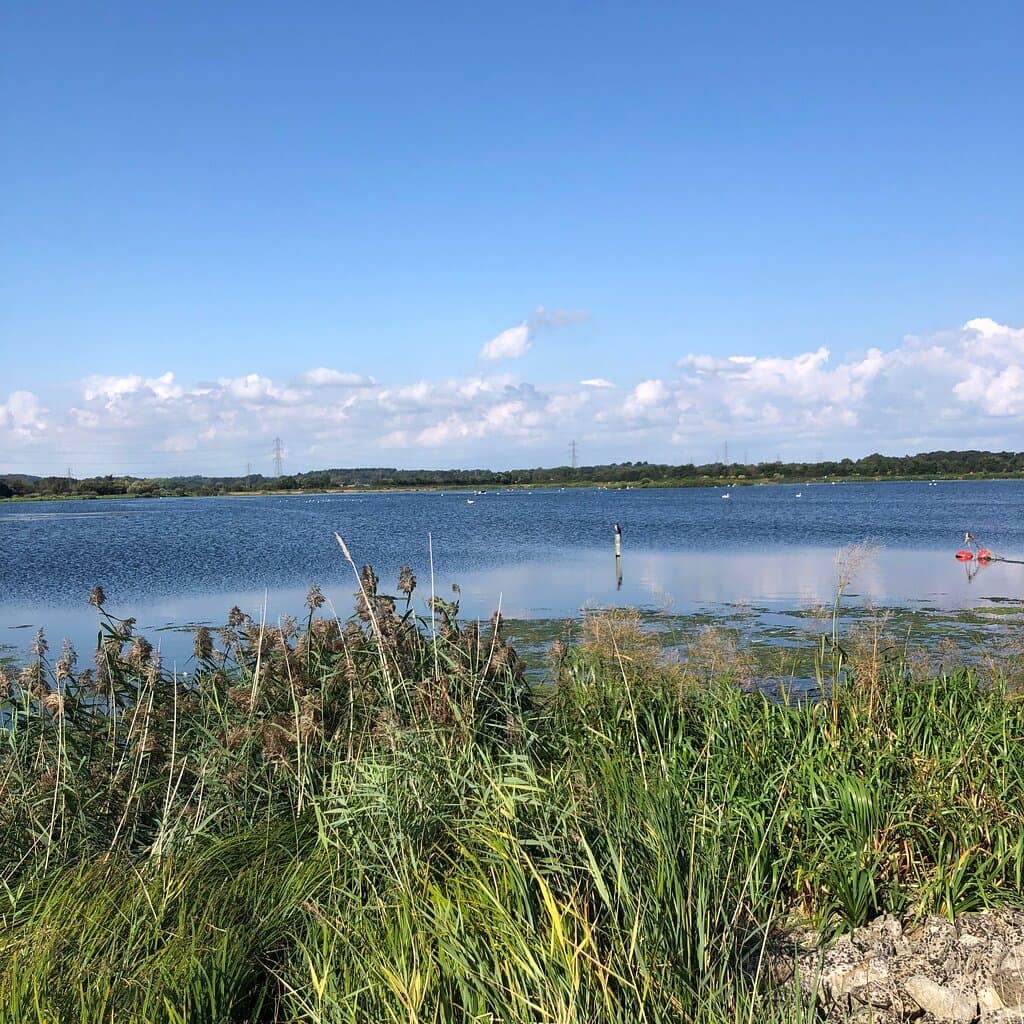 Longham Lakes
