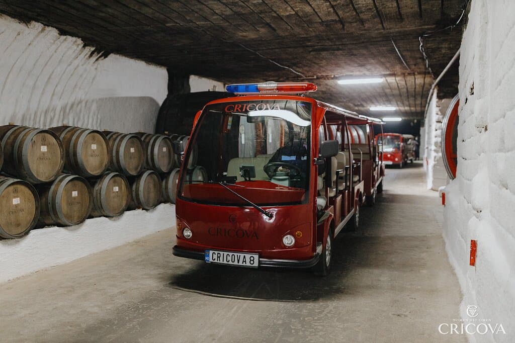 Tours by electric train