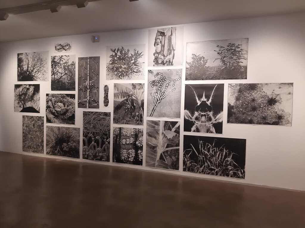 Centre D'art Maristany