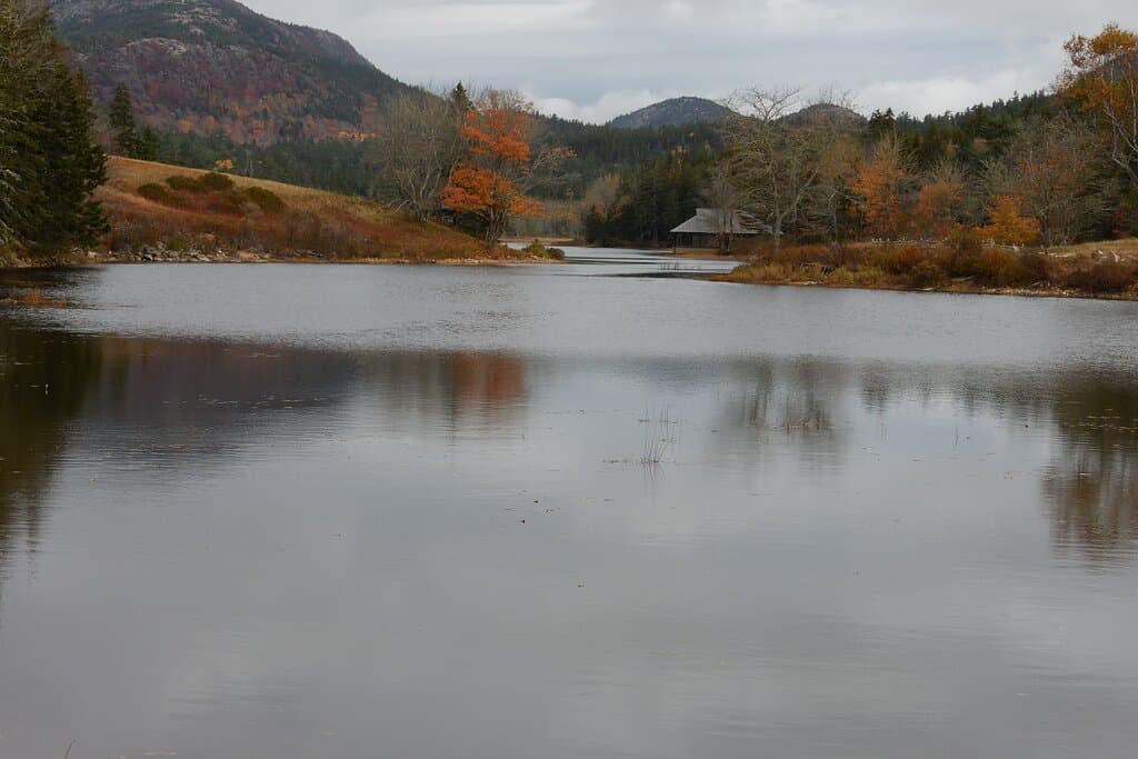 View across Little Long Pond from front path