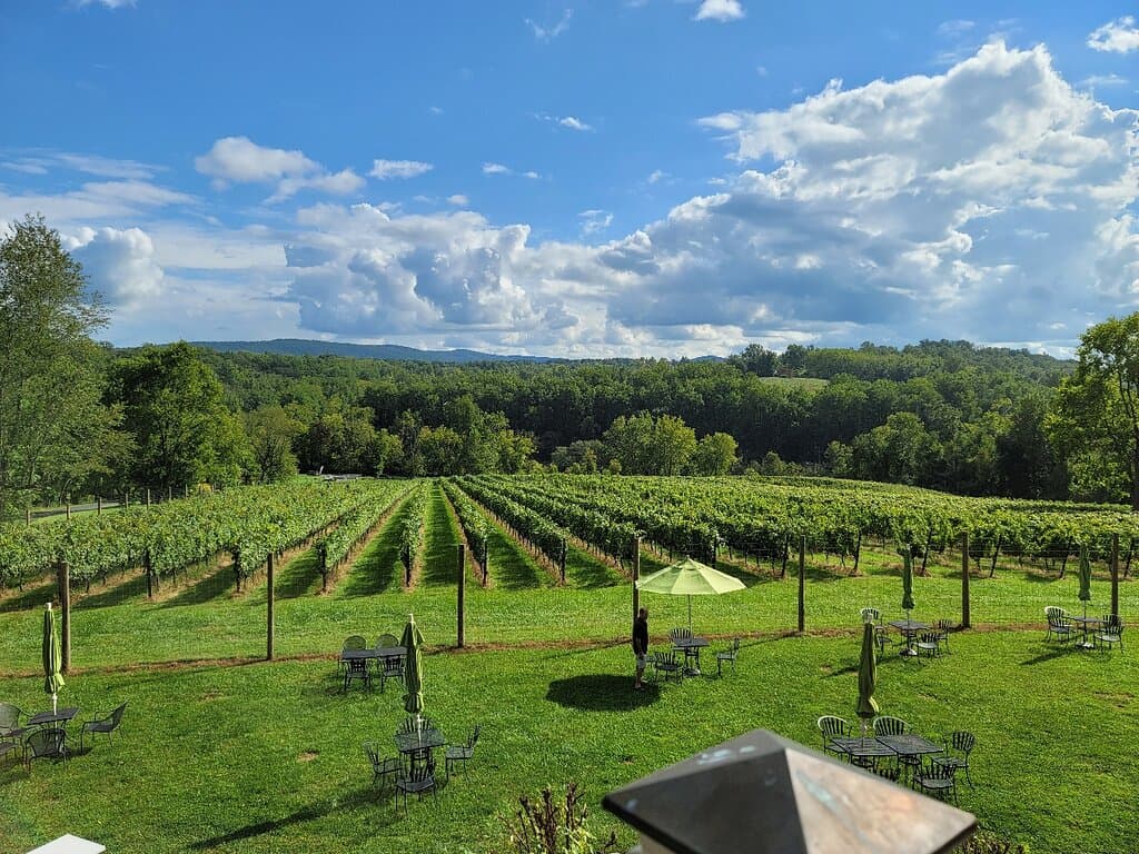 Cana Vineyards & Winery Middleburg