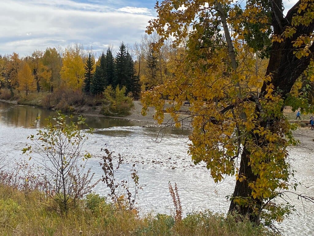 Sandy Beach Park
