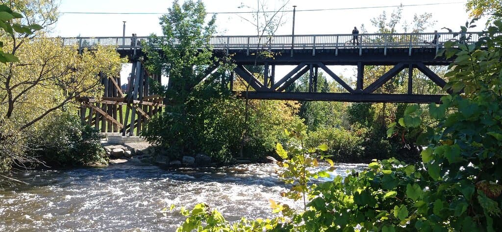 Thornbury Fish Ladder and Dam
