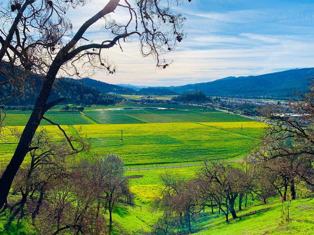 Spring time