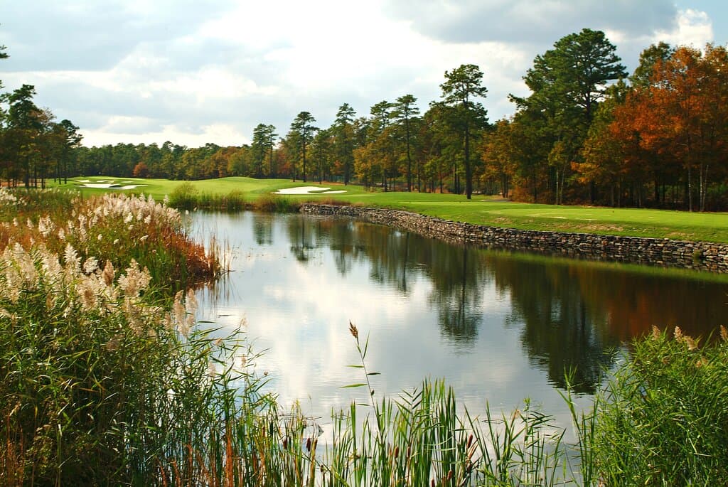 Hole #1