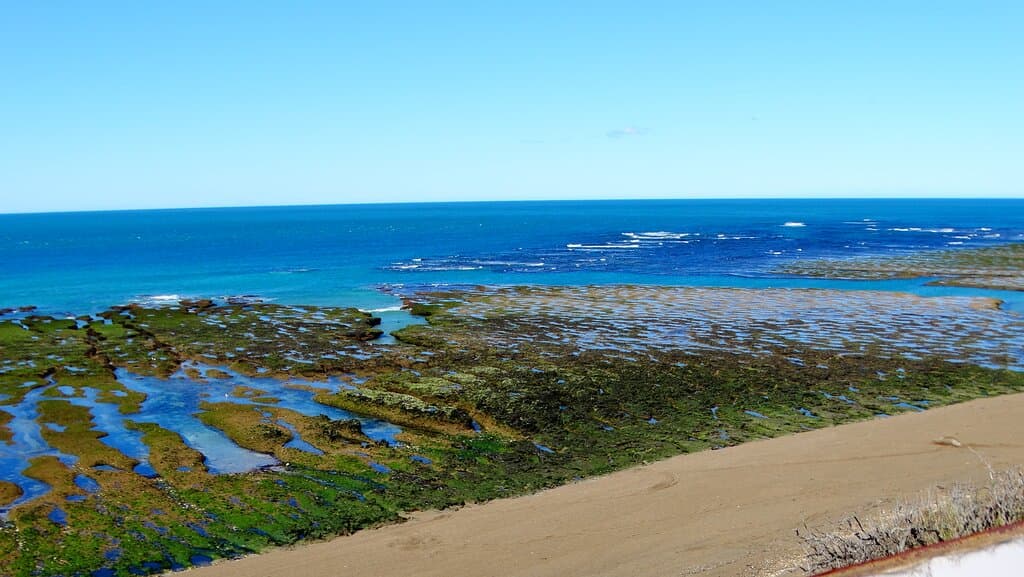 Punta Norte Reserve