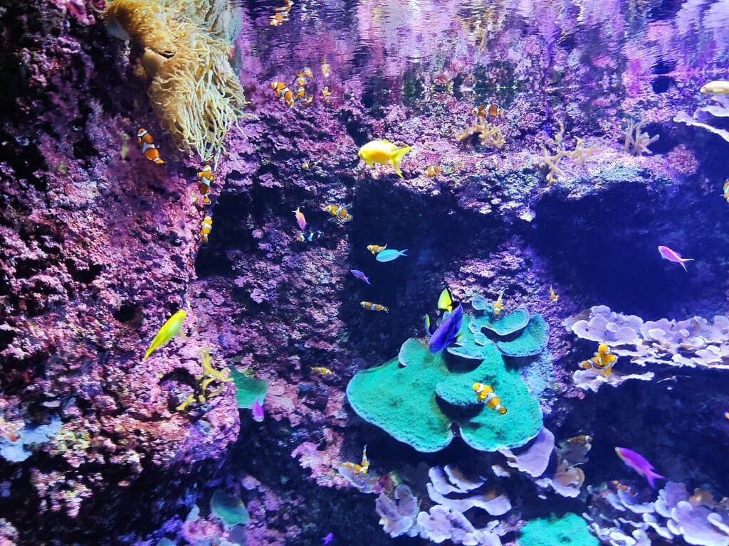 Aquarium Donostia