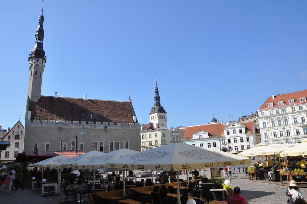 esposizione museale eccellente