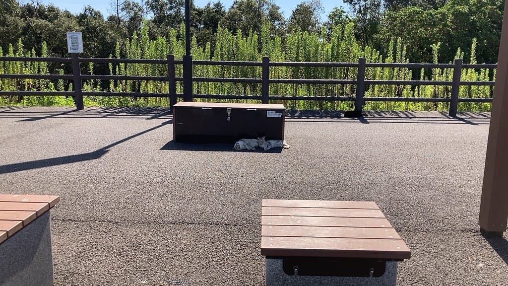前々から気になっていた場所だったので行ってみる事に・・・  津波の高台避難所みたいですが、この高さで津波は大丈夫なのか？  やたら猫が居て、癒される場所でもありました・・・