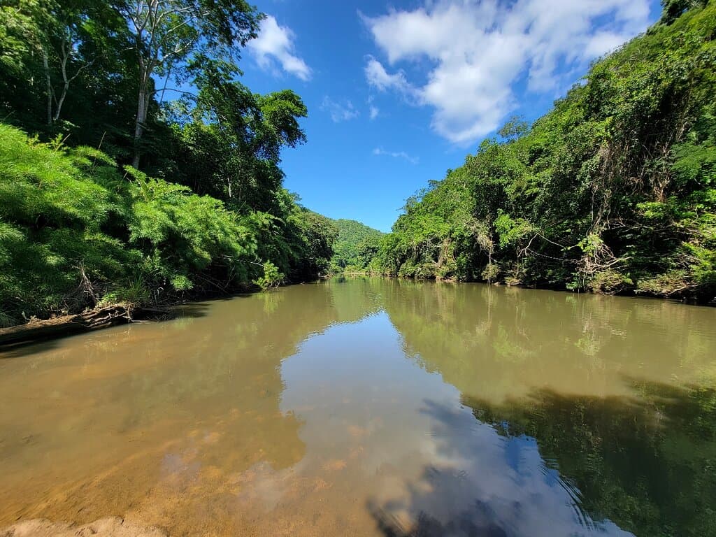 Belize Botanic Gardens San Ignacio Belize