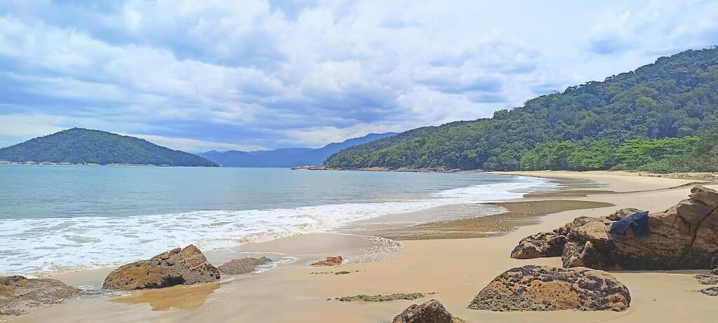 Demais
