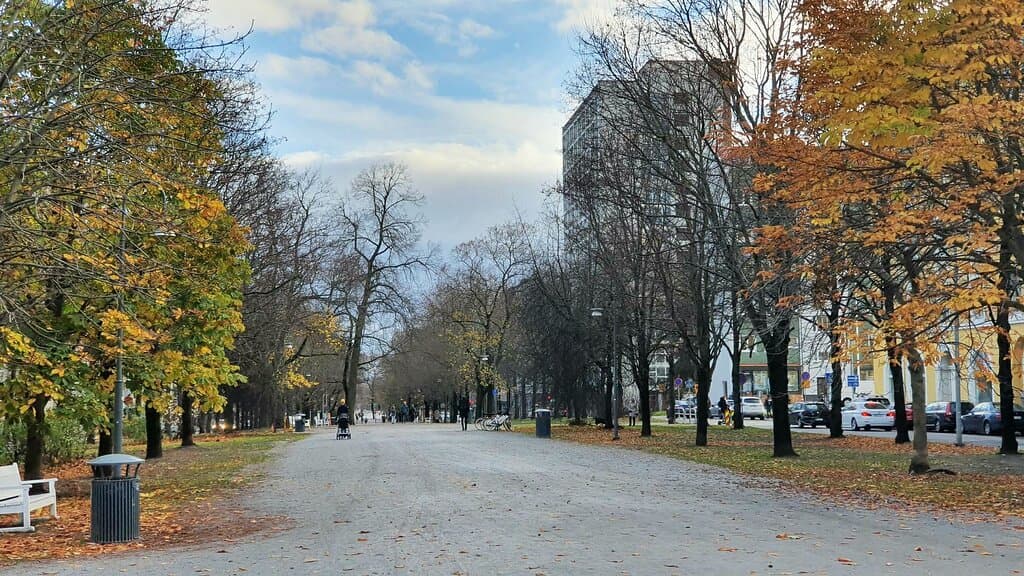 The park